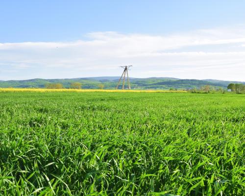 Działka w spokojnej okolicy