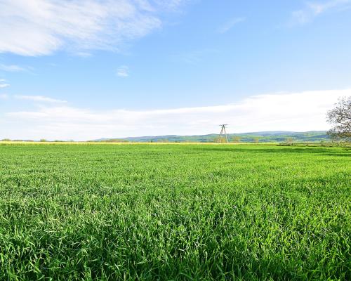 Działka w spokojnej okolicy