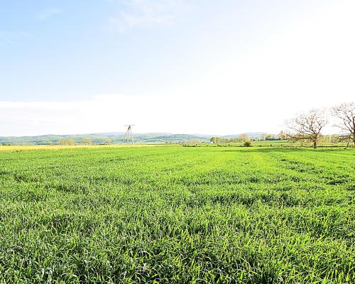 Działka w spokojnej okolicy