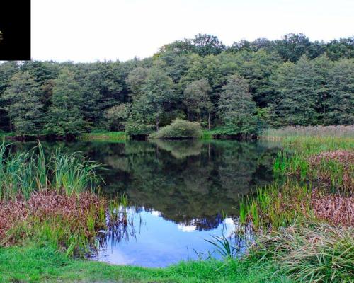 Zaczarowane miejsce 3ha