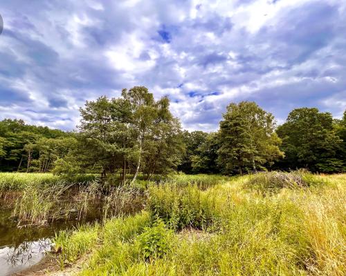 Zaczarowane miejsce 3ha