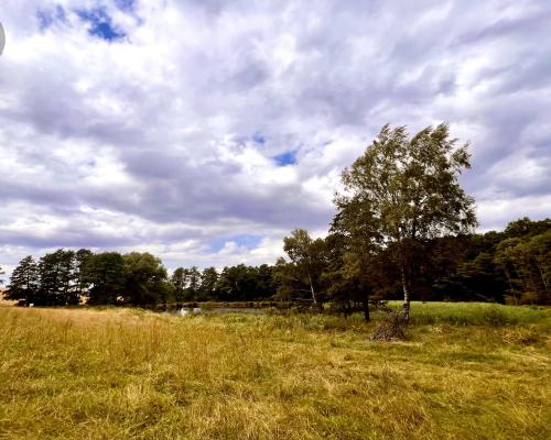 Zaczarowane miejsce 3ha