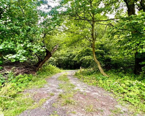 Zaczarowane miejsce 3ha