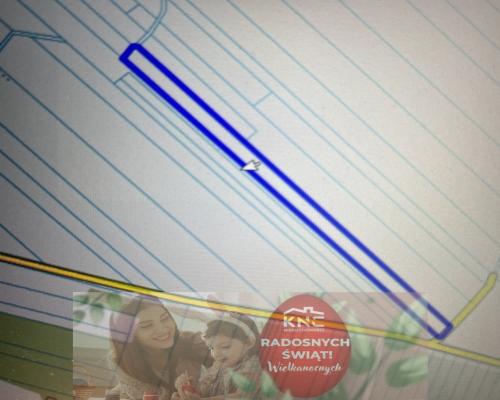 Dwie działki rolne z WZ w Helenowie gm. Policzna.