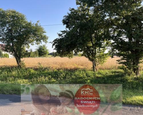 Dwie działki rolne z WZ w Helenowie gm. Policzna.