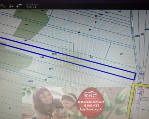 Duża działka 2,9 ha w Jabłonowie gm. Policzna.