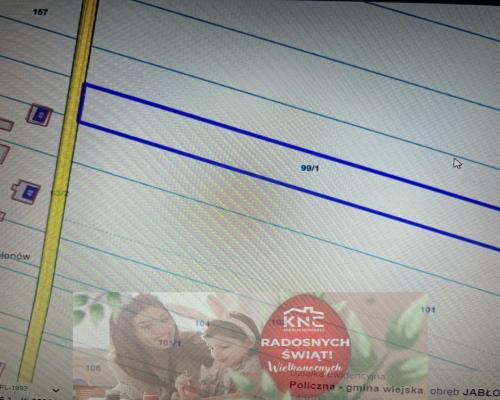 Duża działka 2,9 ha w Jabłonowie gm. Policzna.