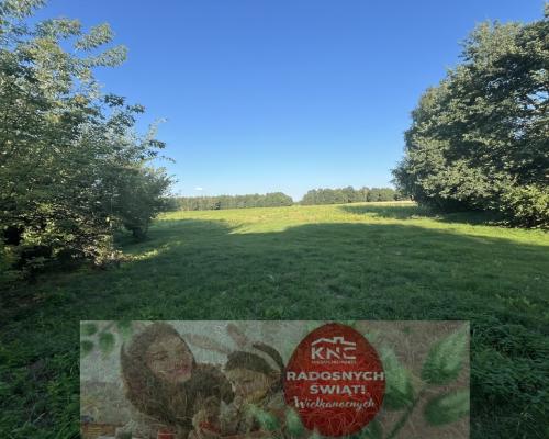 Duża działka 2,9 ha w Jabłonowie gm. Policzna.