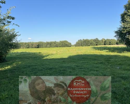 Duża działka 2,9 ha w Jabłonowie gm. Policzna.