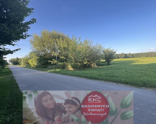 Duża działka 2,9 ha w Jabłonowie gm. Policzna.