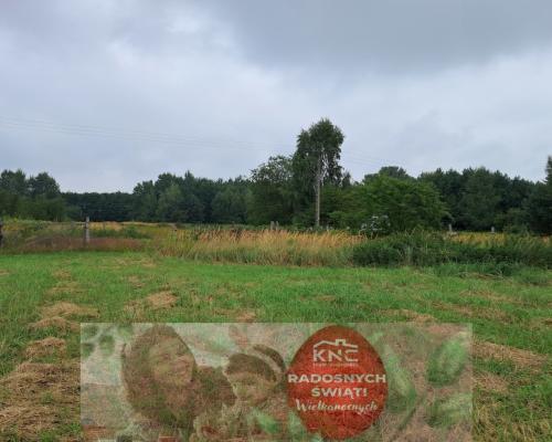 Opole Lubelskie - 1,24 ha - malownicza okolica