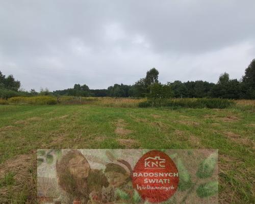 Opole Lubelskie - 1,24 ha - malownicza okolica