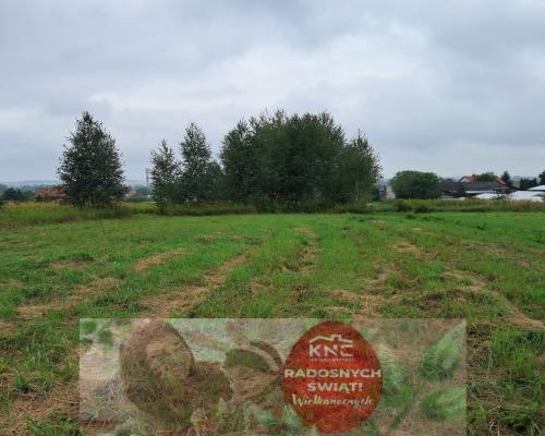 Opole Lubelskie - 1,24 ha - malownicza okolica