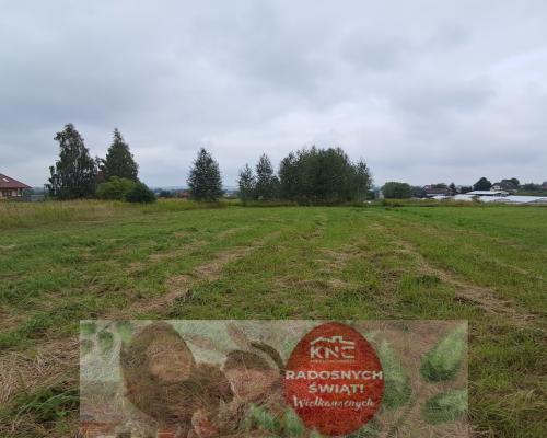 Opole Lubelskie - 1,24 ha - malownicza okolica