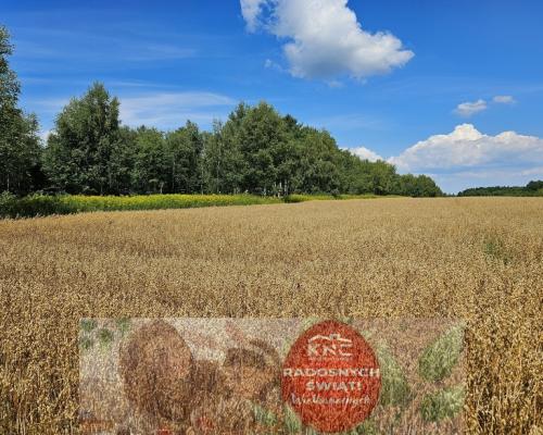 Karczmiska Drugie - ponad 33ar działki rolnej