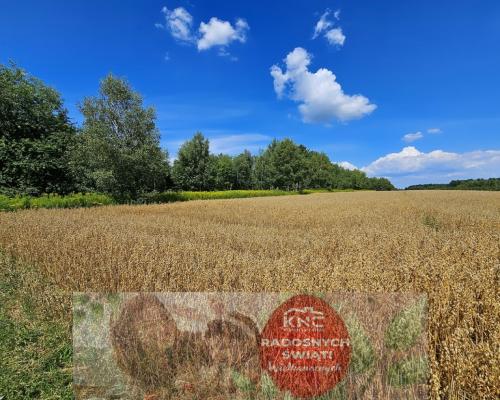 Karczmiska Drugie - ponad 33ar działki rolnej