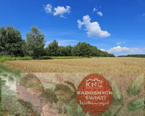 Karczmiska Drugie - ponad 33ar działki rolnej