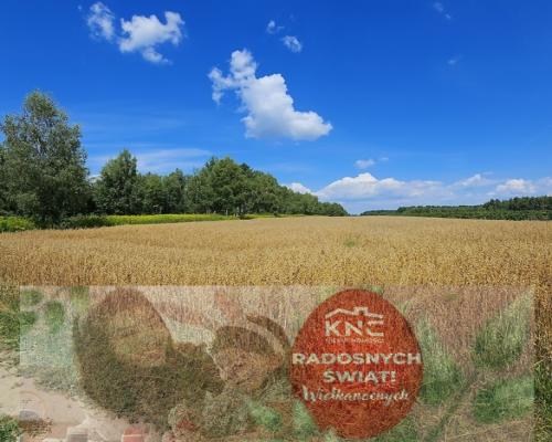 Karczmiska Drugie - ponad 33ar działki rolnej