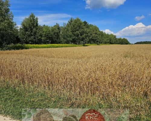 Karczmiska Drugie - ponad 33ar działki rolnej