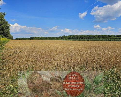 Karczmiska Drugie - ponad 33ar działki rolnej