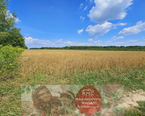 Karczmiska Drugie - ponad 33ar działki rolnej