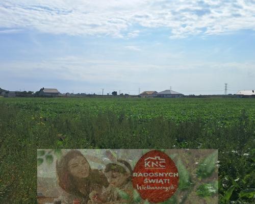 Uzbrojona działka. Gm. Puchaczów