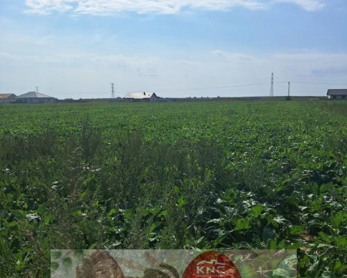 Uzbrojona działka. Gm. Puchaczów