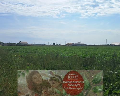 Działka budowalna 16a - Gm. Puchaczów - Turowola.