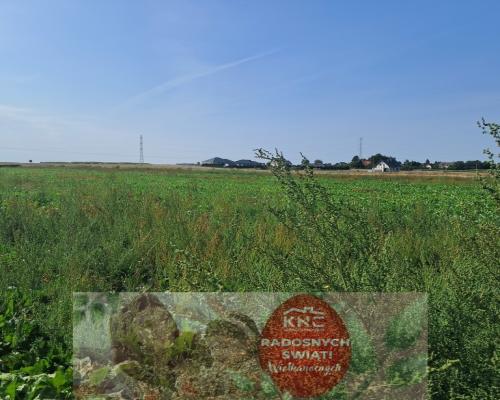 Działka budowalna 16a - Gm. Puchaczów - Turowola.