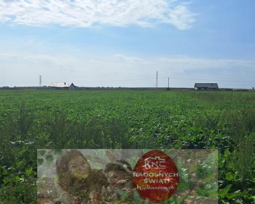 Działka budowalna 16a - Gm. Puchaczów - Turowola.