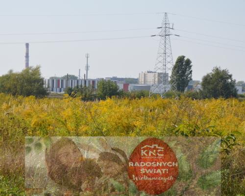 Działka Lublin-Zadębie inwestycyjna/budowlana