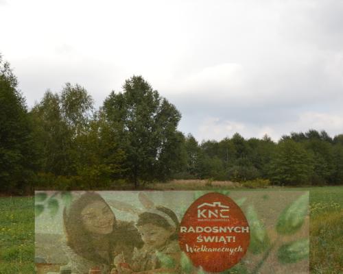 Działka 1.77 ha w Brzeźnicy Leśnej pow. Lubartów.