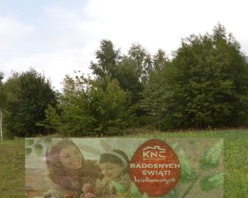 Działka 1.77 ha w Brzeźnicy Leśnej pow. Lubartów.