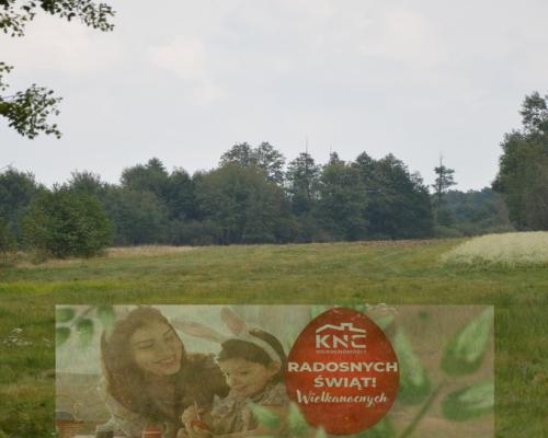 Działka 1.77 ha w Brzeźnicy Leśnej pow. Lubartów.