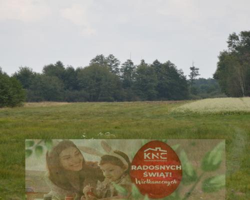 Działka 1.77 ha w Brzeźnicy Leśnej pow. Lubartów.