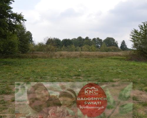 Działka 1.77 ha w Brzeźnicy Leśnej pow. Lubartów.