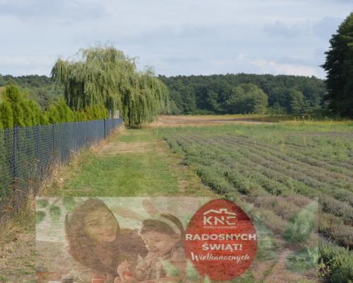 Piękna działka w Parku Krajobrazowym