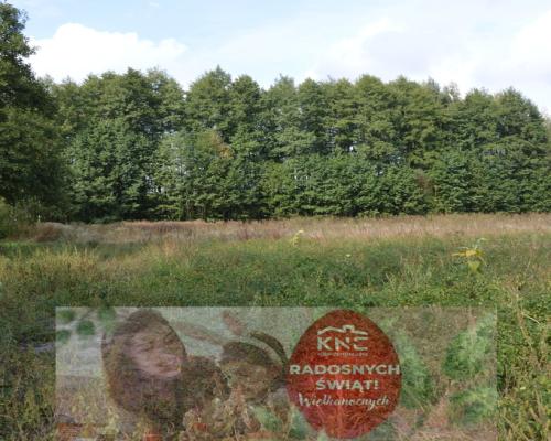 Piękna działka w Parku Krajobrazowym