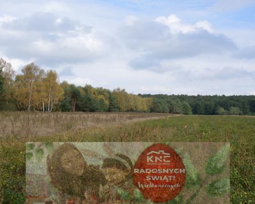 Piękna działka w Parku Krajobrazowym