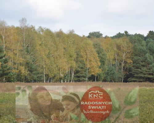 Piękna działka w Parku Krajobrazowym