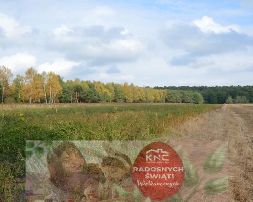 Działka, Klarów, 1,09 ha