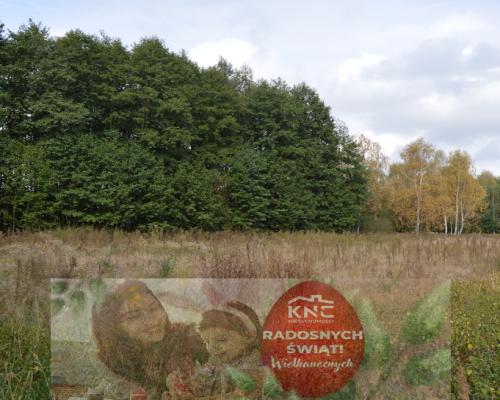 Działka, Klarów, 1,09 ha