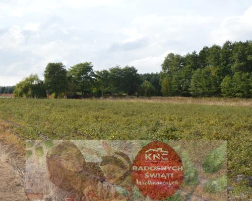 Działka, Klarów, 1,09 ha