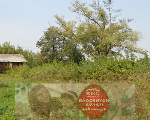 Działka budowlana, Urzędów, centrum, 25 a