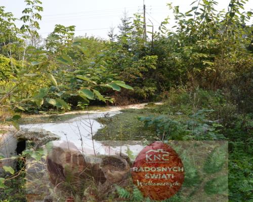 Działka budowlana, Urzędów, centrum, 25 a