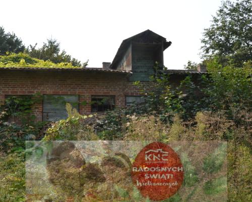 Działka budowlana, Urzędów, centrum, 25 a