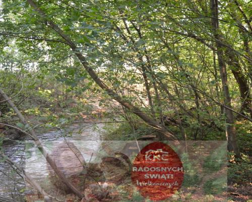 Działka budowlana, Urzędów, centrum, 25 a