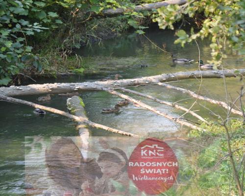 Działka budowlana, Urzędów, centrum, 25 a