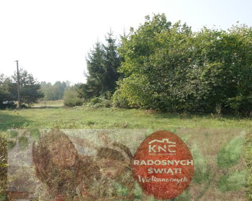 Działka 16 ar w miejsc. Gołąb pow. Lubartowski