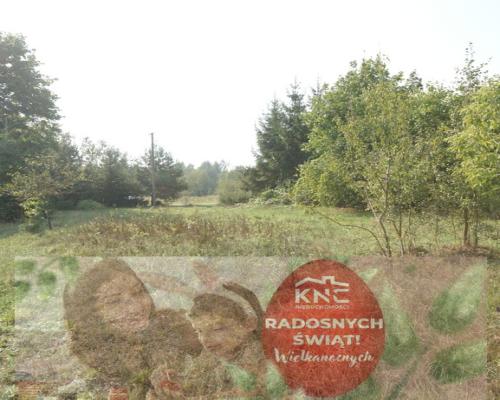 Działka 16 ar w miejsc. Gołąb pow. Lubartowski